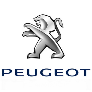На сайт добавлены фото ковриков для Peugeot 