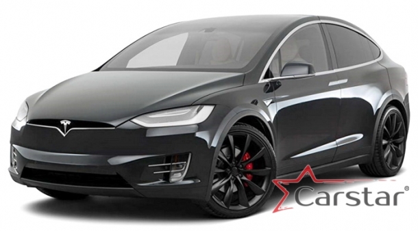 Двухслойные коврики EVA для Tesla Model X (2015->) 
